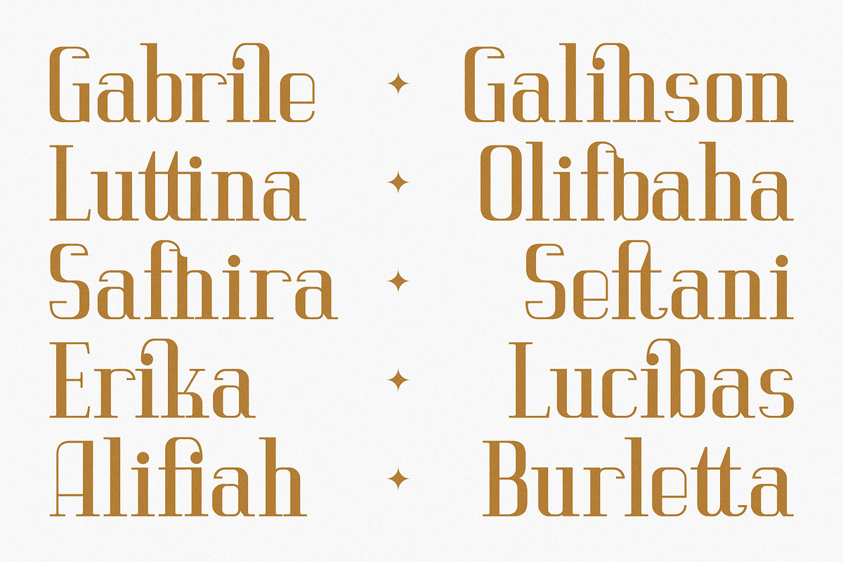 Vittorika Modern Serif Font, a Serif Font by Letterena Studios (Photo 5 of 15)