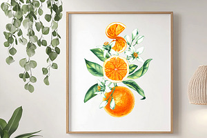 Orange Dreams Watercolor Collection