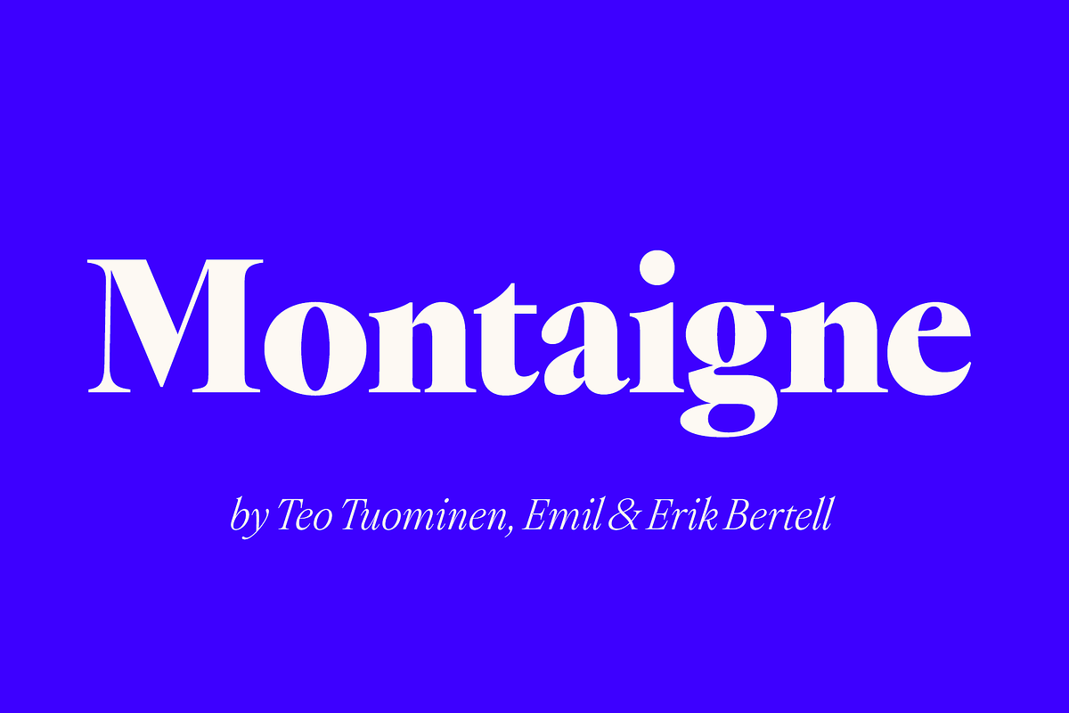 Montaigne Classic Serif, a Serif Font by Fenotype (Photo 1 of 16)