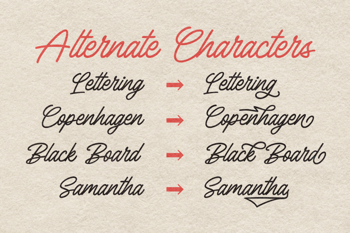 Bardian - Monoline Script, a Script Font by Letterhend Studio (Photo 7 of 9)