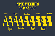 Clab - Family Slab Font, a Slab Serif Font by Say Studio (Thumbnail 4 of 13)