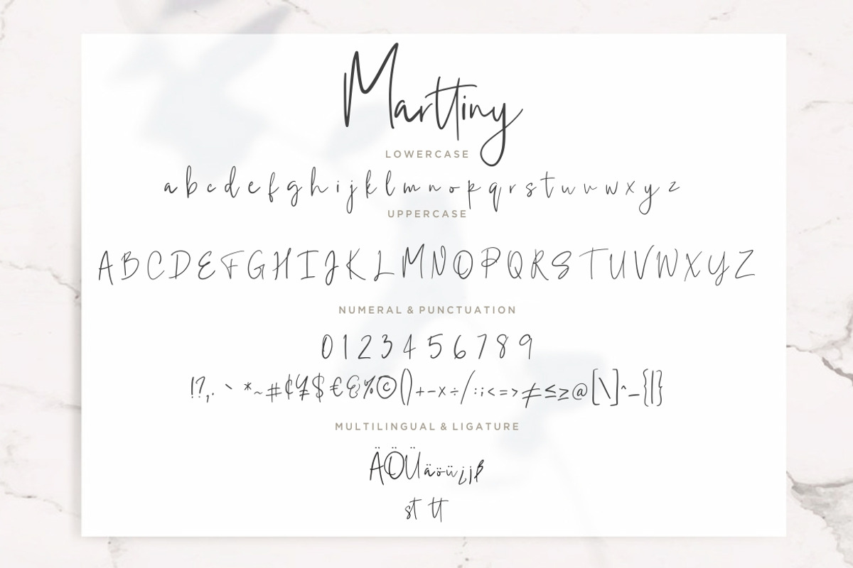 Marttiny Signature Business Font preview 7