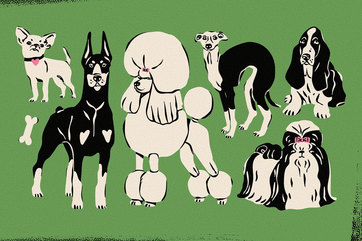 Fetch! Dogs collection, an Animal Illustration by Twisted Tail (Photo 3 of 11)