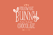 Chirp & Blossom Font, a Serif Font by Denise Chandler (Thumbnail 5 of 8)