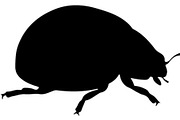 20 Ladybug Silhouette Mega, an Object Graphic by Designer_Momina (Thumbnail 14 of 20)