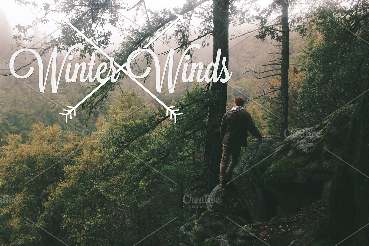 Winter winds iii 2013 stock picture preview 3