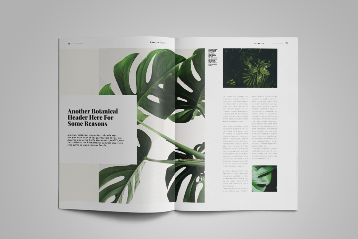 Naturia | Magazine Template, a Magazine Template by spidergraph (Photo 9 of 11)