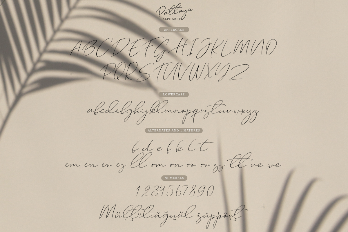Pattaya, a Script Font by Larin Type Co. (Photo 10 of 10)