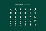 Reuben - A Vintage Display Font, a Sans Serif Font by JK Design Co. (Thumbnail 4 of 8)