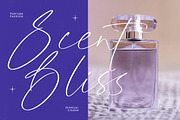 Glistening Silent Modern Stylish, a Script Font by Letterena Studios Script (Thumbnail 7 of 15)