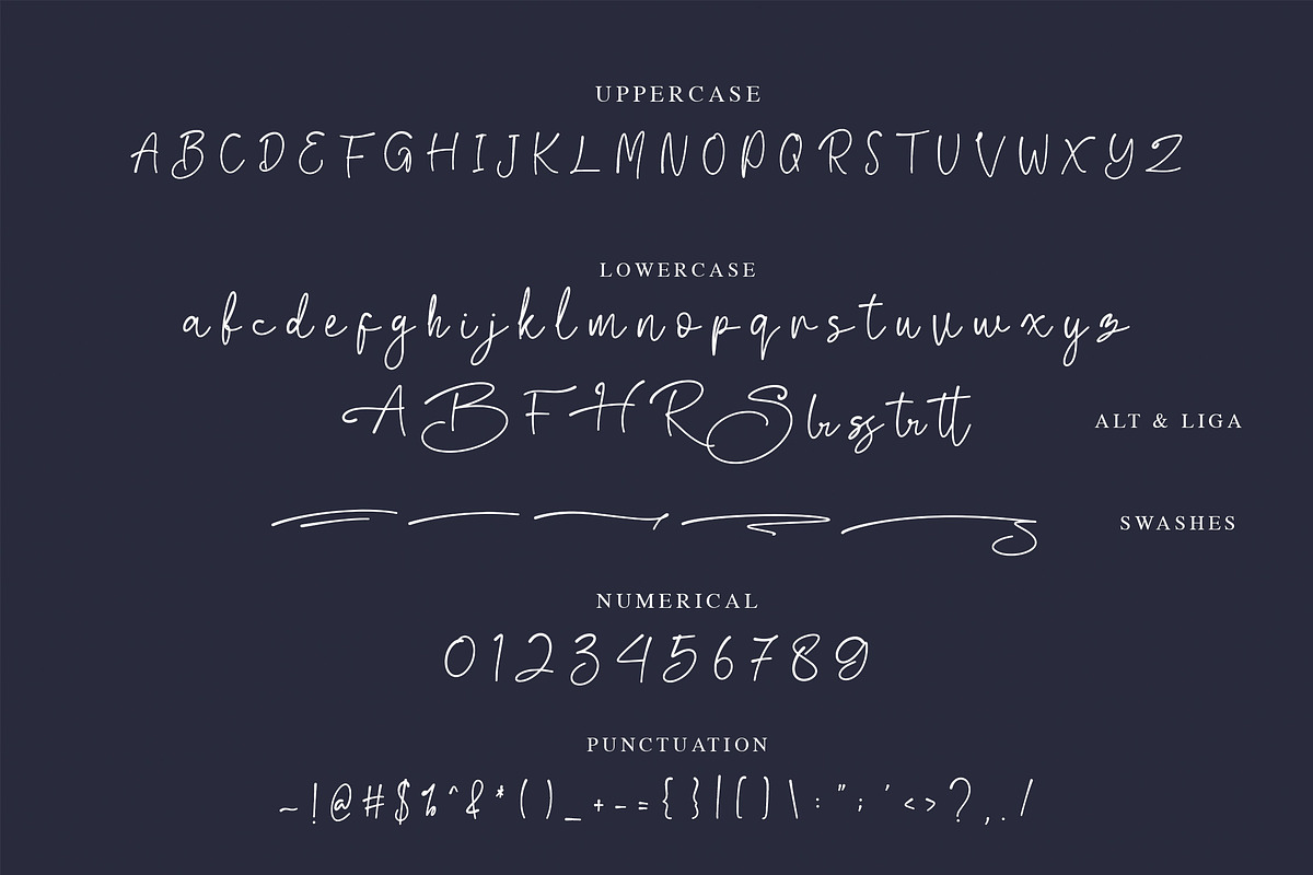 Biegen Stinger - Script Font, a Script Font by NTC Graphic (Photo 8 of 9)