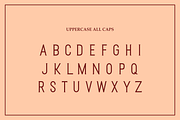 Manvium Font, a Serif Font by albert_kalingga (Thumbnail 3 of 5)