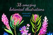 Amazing Botanic, an Illustration by RosaPompelmo (Thumbnail 2 of 4)