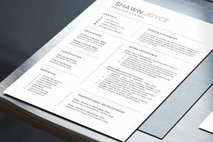 Professional CV Template