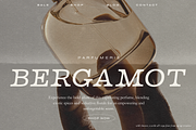 Wild Chance Complete 6-Font Family, a Serif Font by Up Up Creative (Thumbnail 2 of 15)