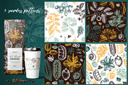 Exotic plant and fruit sketches set, a Food Illustration by Yevheniia (Thumbnail 11 of 11)