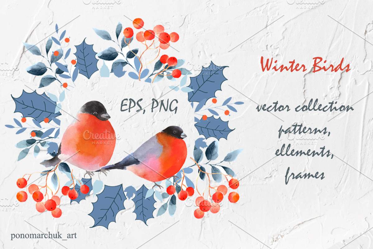 Winter Birds. Vector collection, a Decorative Illustration by Colibri Watercolor (Photo 2 of 9)