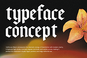 Velthoven Black - Modern Blackletter, a Blackletter Font by Creacy Studio (Thumbnail 2 of 9)