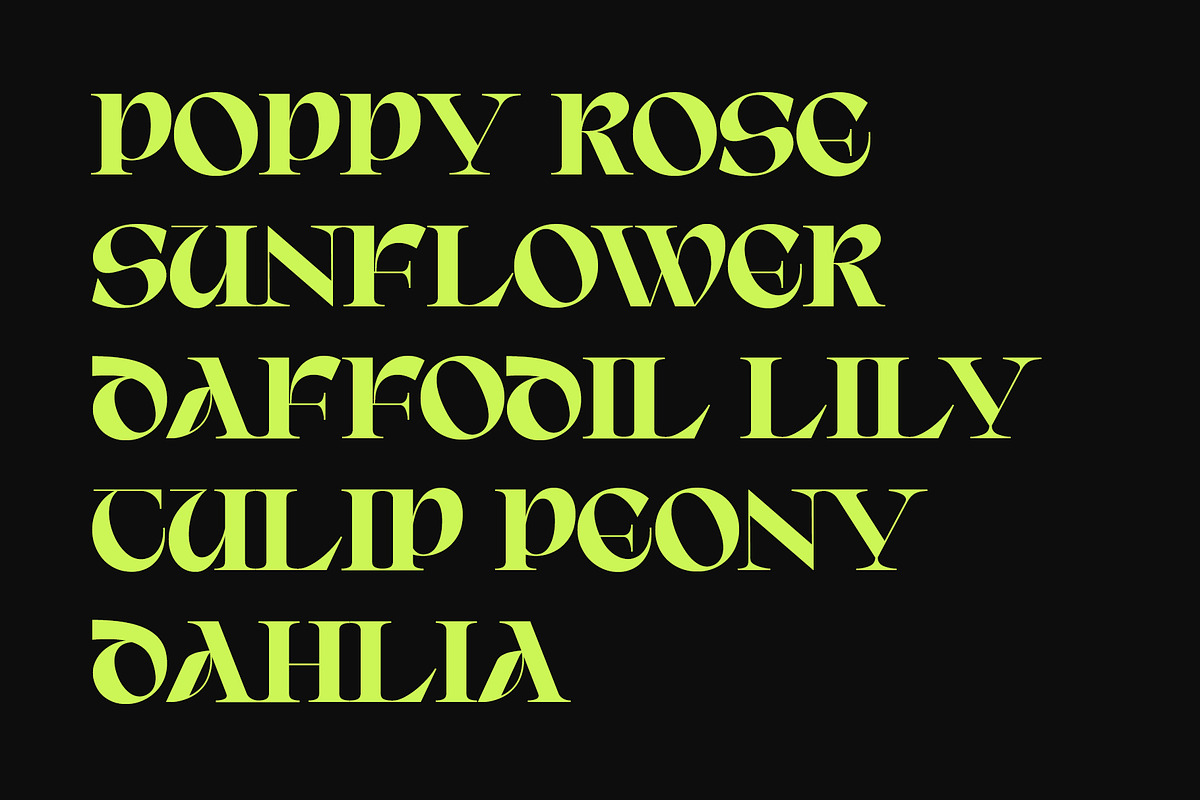 ED Brigid Typeface, a Serif Font by Emyself Design (Photo 2 of 12)