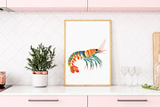 Watercolor Shrimp Clipart Set, an Illustration by Libby Wishes (Thumbnail 2 of 8)