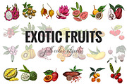 Exotic fruits. Vector collection., a Healthcare Illustration by JSolomatina (Thumbnail 2 of 9)