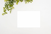 Modern Mockup, Clean Mockups, a Background Photo by BlueBooks (Thumbnail 11 of 14)