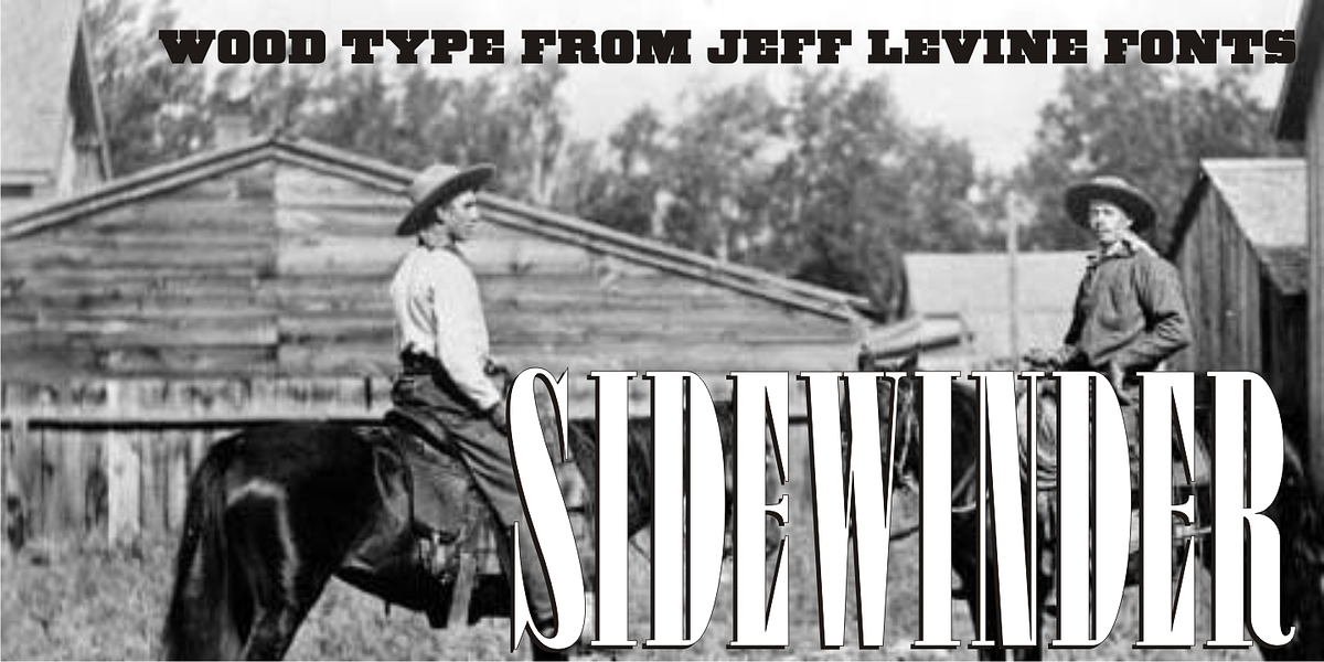 Sidewinder JNL, a Serif Font by Jeff Levine Fonts