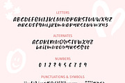 Share Smile - Brush Font + Dingbats, a Script Font by Paperly Studio (Thumbnail 9 of 9)