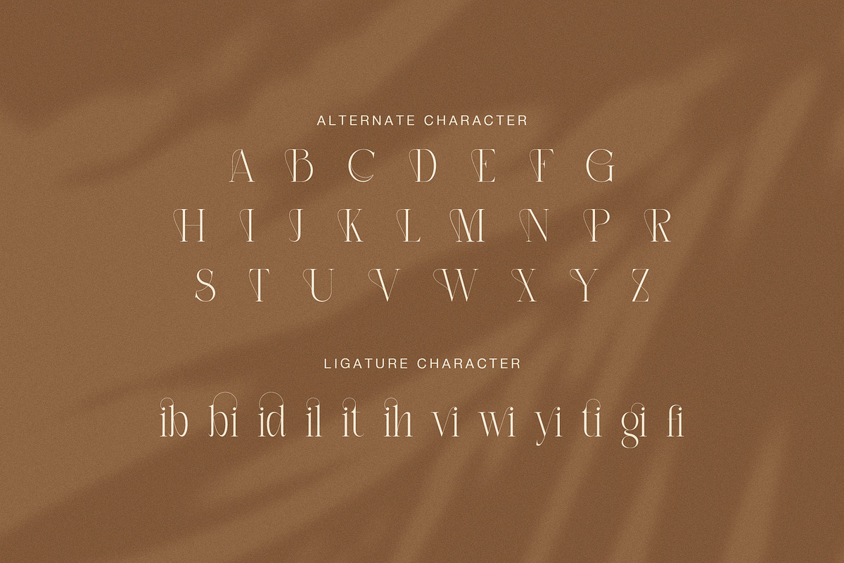 Bidant Elegant Serif Font, a Serif Font by Graphicxell (Photo 8 of 8)