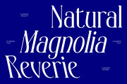CS Aragon – Modern Serif Font, a Serif Font by Craft Supply Co. (Thumbnail 3 of 8)