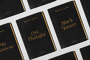 Romanson, a Serif Font by Larin Type Co. (Thumbnail 11 of 14)