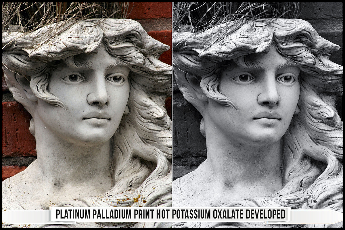 Platinum Palladium Prints LUTs, a Plug-in Add-On by Raztrend (Photo 5 of 32)