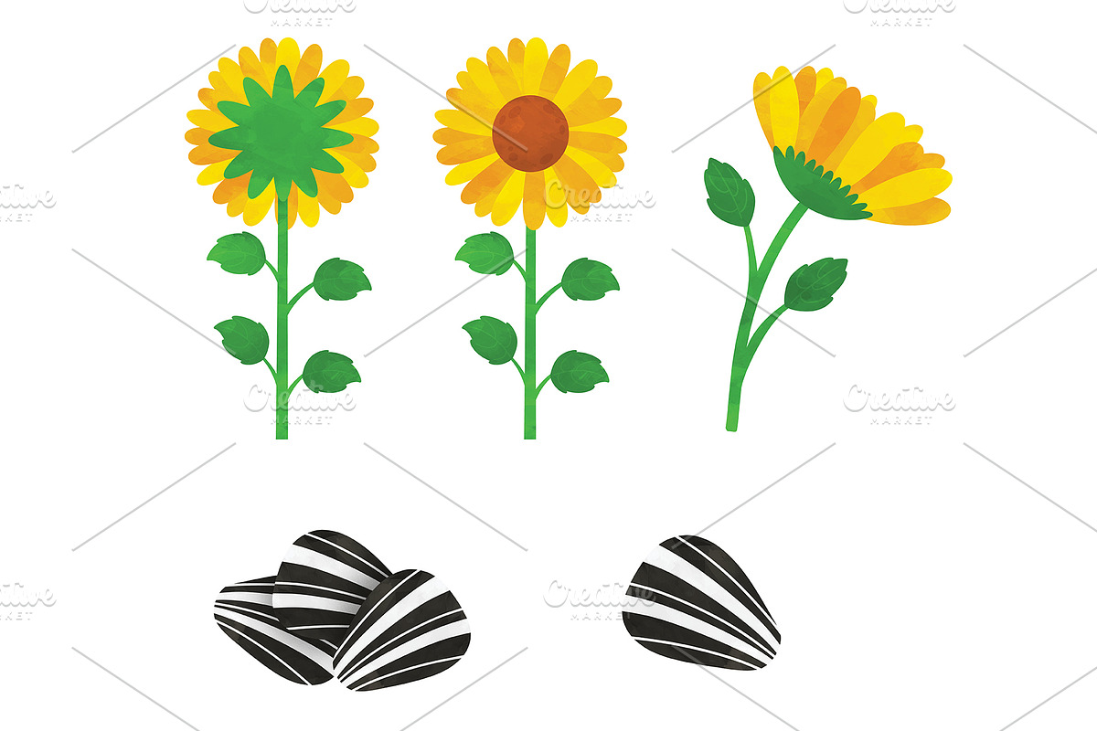 Sunflower Clipart, an Illustration by SugarPickle Clip Art (Photo 4 of 4)