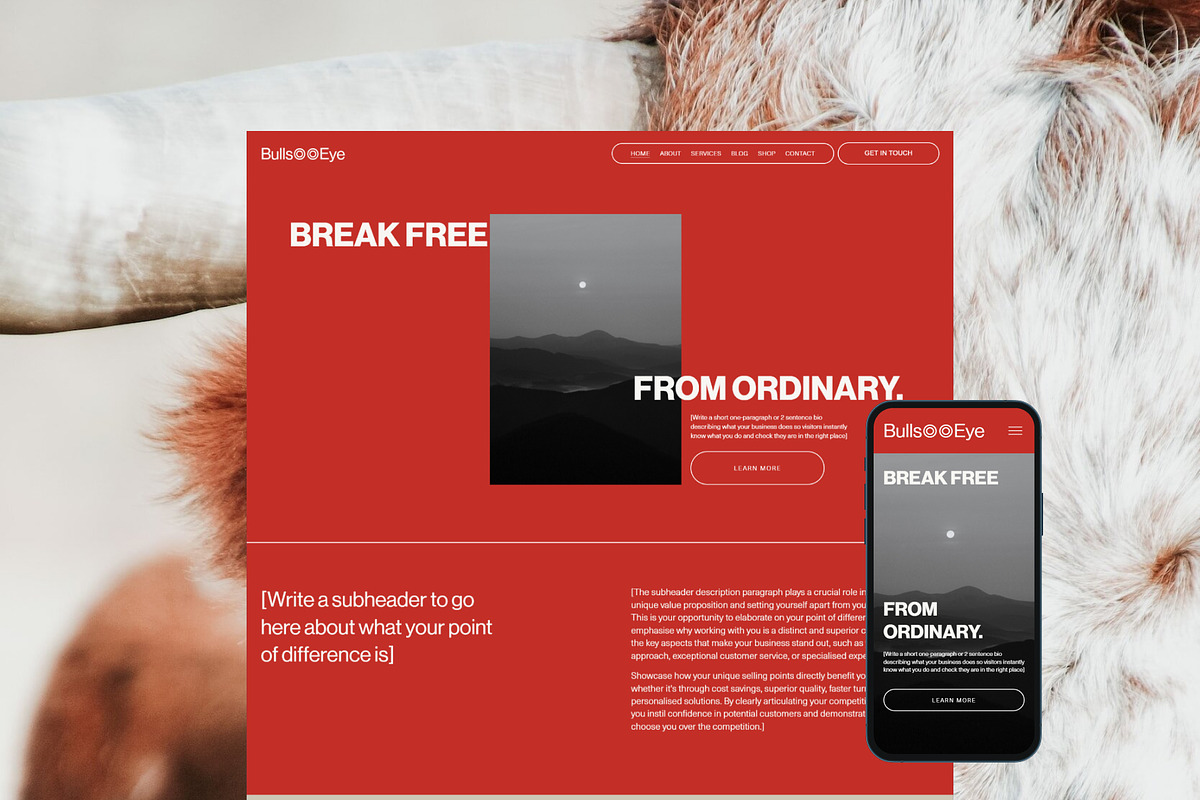 Bullseye Squarespace Website Template