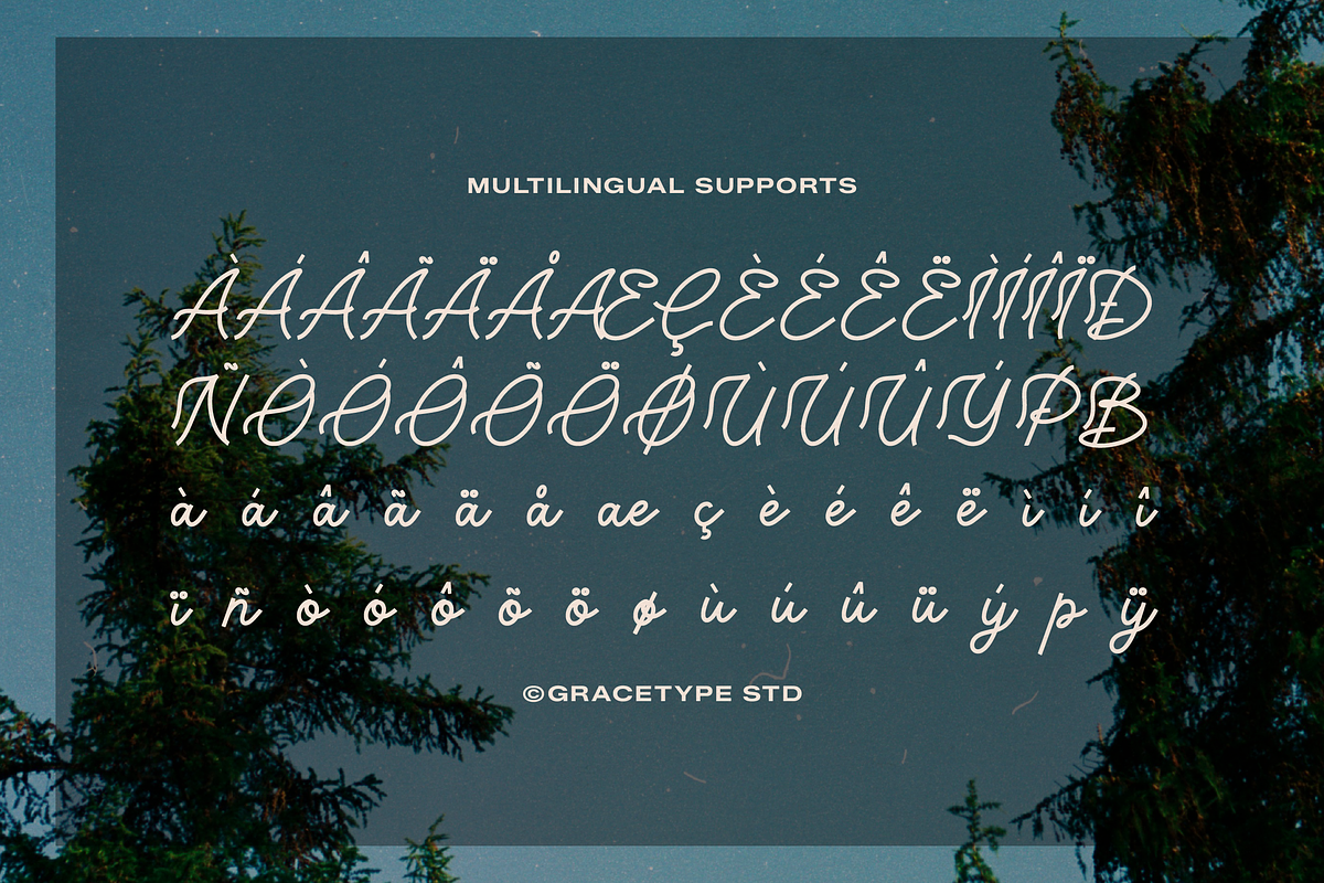 Lubiedo | Monoline Script, a Script Font by gracetype_studio (Photo 12 of 12)