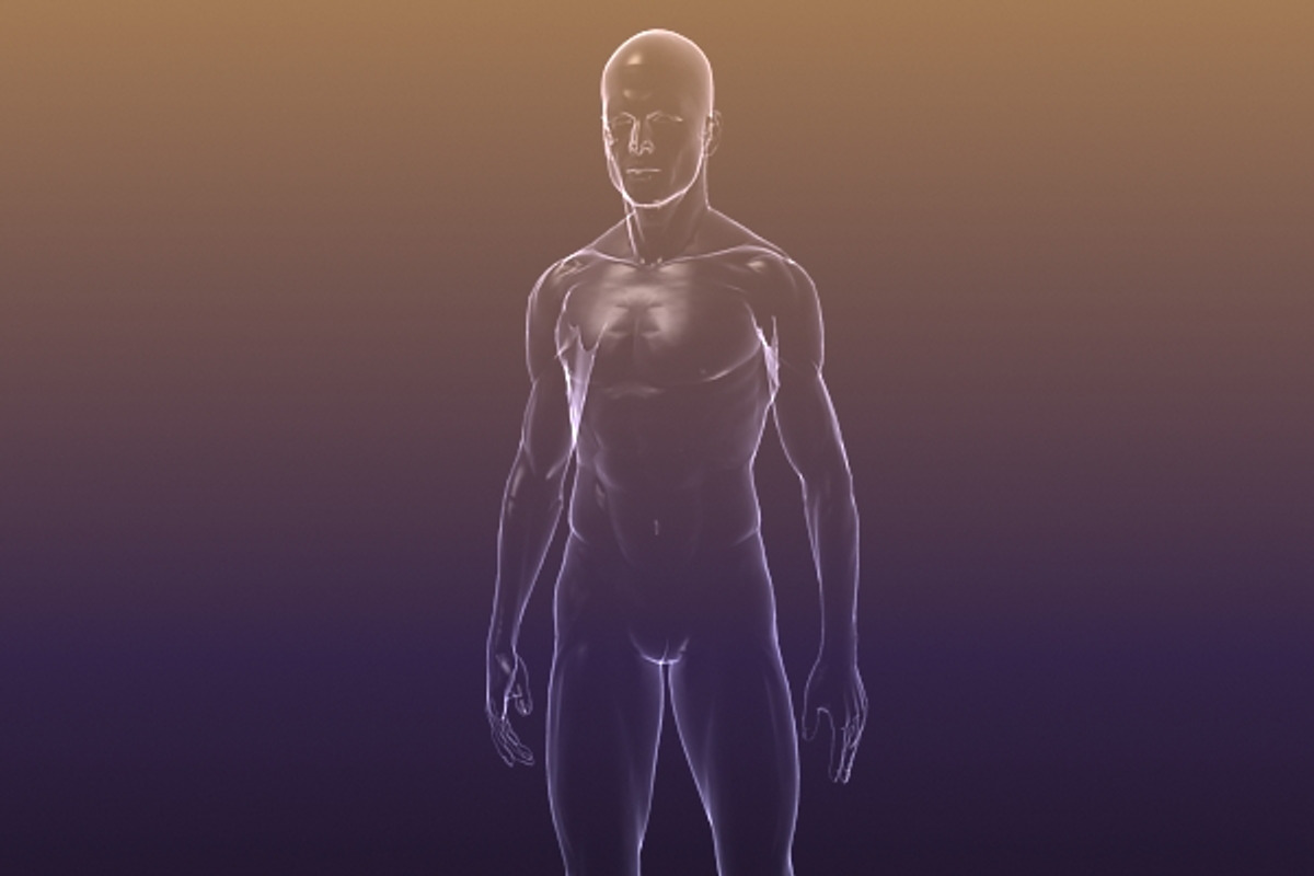 Male And Female Anatomy X-ray Bodies, a Characters & Person 3D Model by VisualCG (Photo 5 of 15)