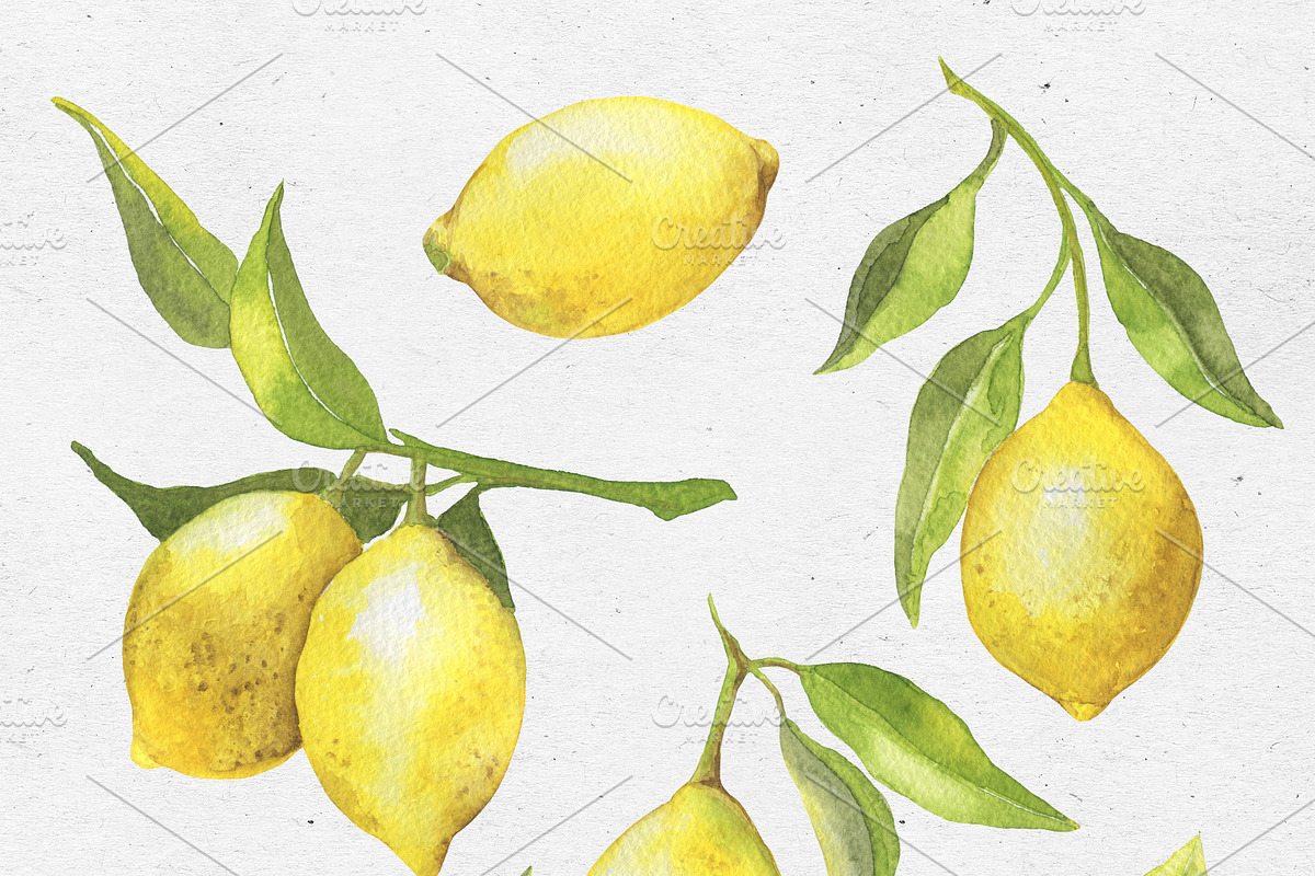 Lovely Lemons. Watercolor collection, a Decorative Illustration by Maria's little shop (Photo 2 of 10)