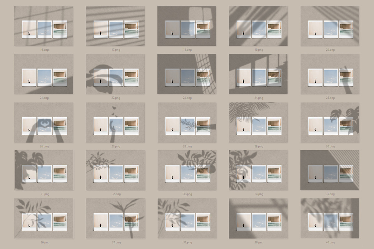 Natural Shadow Play Overlays, a Texture Graphic by Feather & Sage Design (Photo 15 of 17)