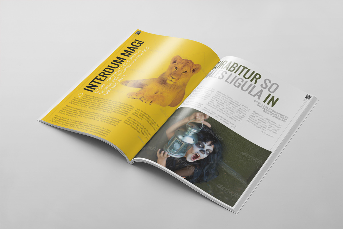 Magazine Template 26, a Magazine Template by pmvch (Photo 5 of 10)