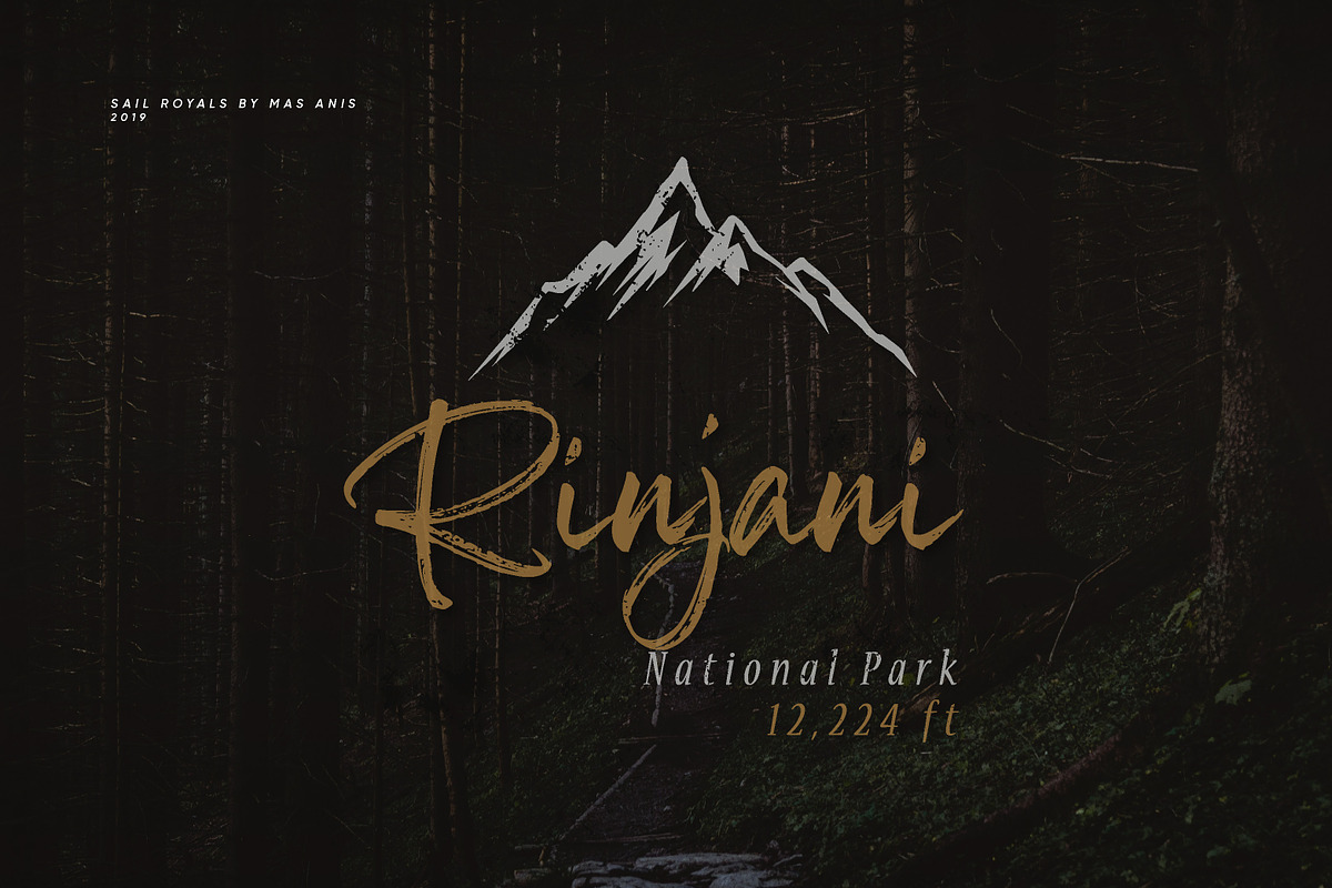 Sail Royals // Brush Signature, a Script Font by Masanis (Photo 15 of 17)