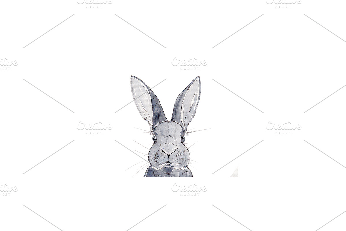 Bunny Rabbit Watercolour Art, an Animal Illustration by Foxery Digital