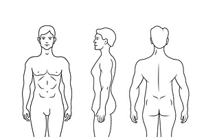 Outline Silhouette Of Men Body