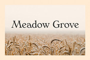 Phaedra // A Retro Serif Typeface, a Serif Font by Megs Lang (Thumbnail 13 of 17)