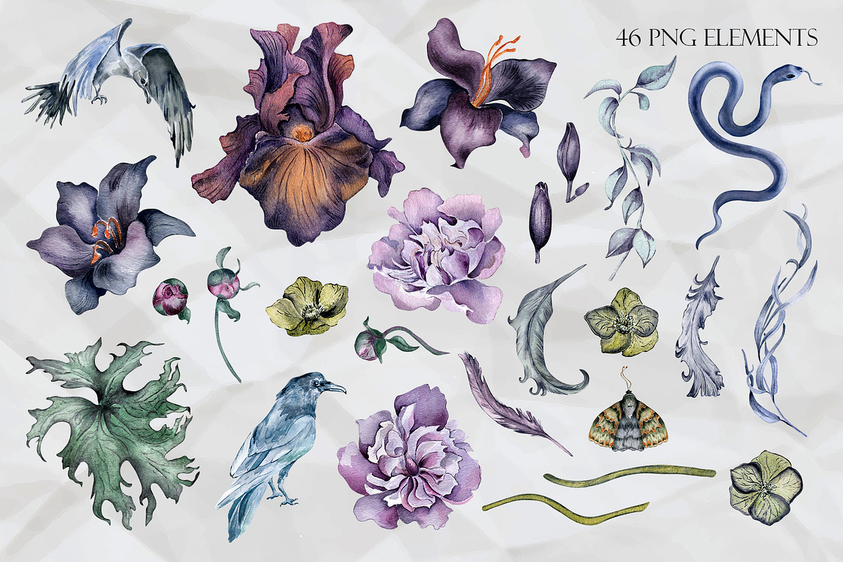 Dark floral watercolor clipart, an Illustration by Kate Lanbina (Photo 3 of 19)