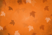 Autumn Backgrounds, a Texture Graphic by cDDesign (Thumbnail 7 of 7)