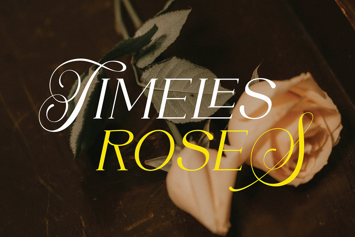 DENOVA // Elegant Luxury Font, a Serif Font by ToniStudio (Photo 2 of 10)
