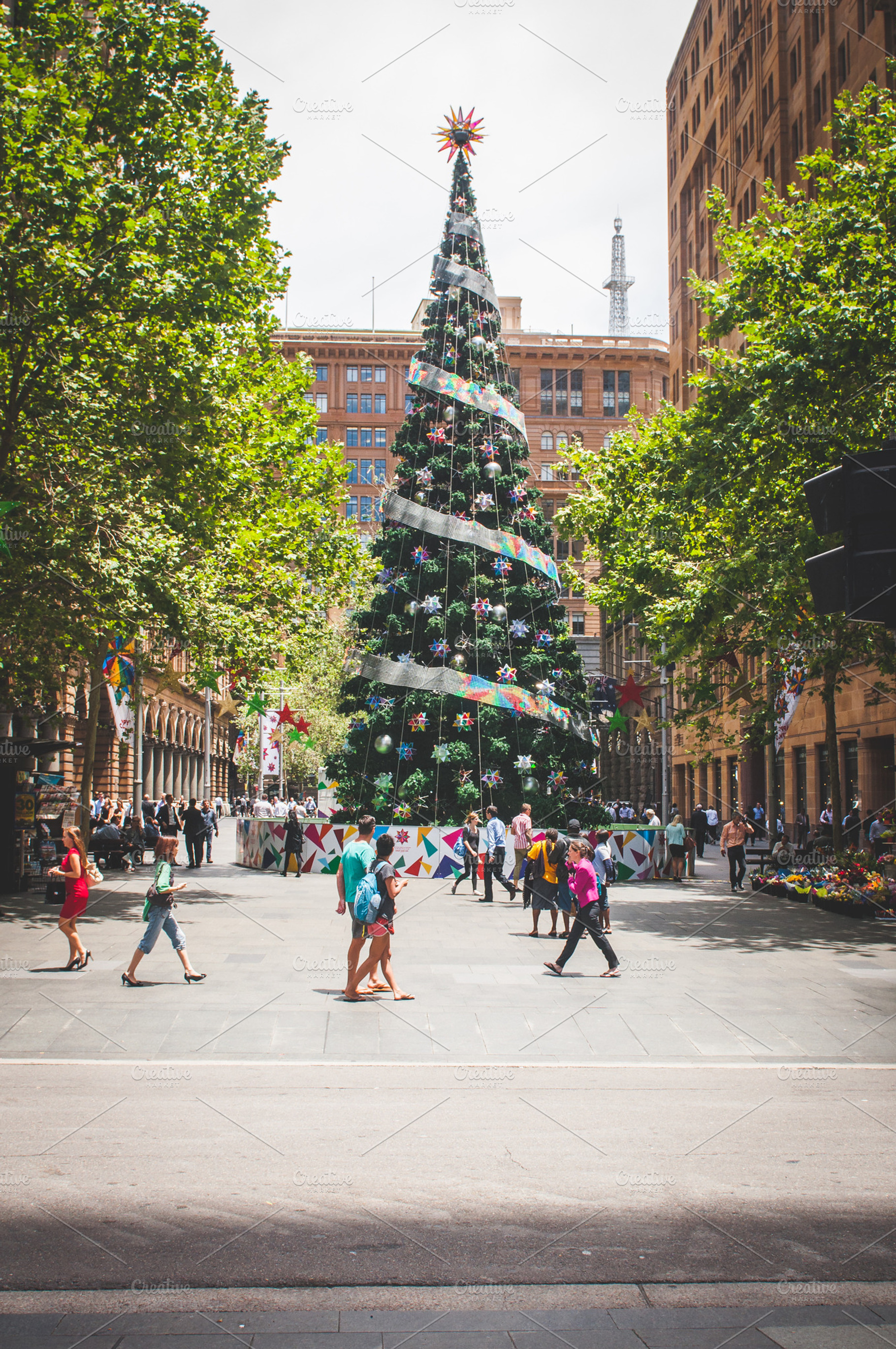Big Christmas Tree in the City, an Arts & Entertainment Photo by Kelly Van de Vliet