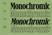 Belgino – Modern Stylish Serif Font, a Serif Font by Blankids Studio (Thumbnail 3 of 9)