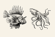 25 Marine Animal Illustrations, an Animal Illustration by Vectorian (Thumbnail 3 of 5)