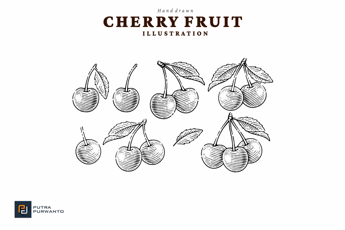 Hand drawn Cherry Illustration, a Food Illustration by putra_purwanto (Photo 3 of 3)
